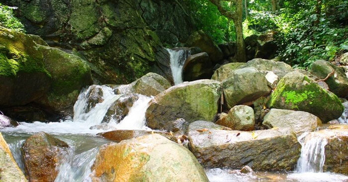 Bài ca Côn Sơn